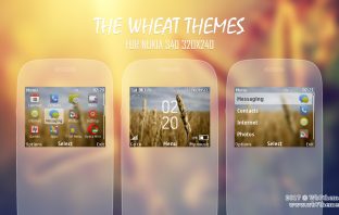 Wheat theme for nokia C3-00