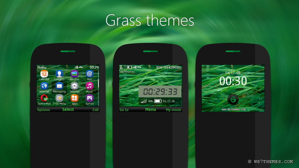 Grass theme Asha 302 C3-00 X2-01 Asha 200