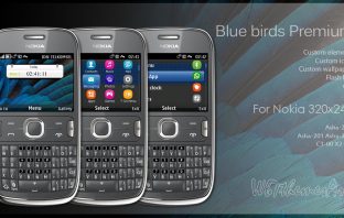 Theme Blue birds for Asha 302 Asha 200 Asha 201 C3-00 X2-01 swf clock