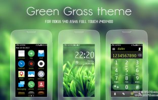 Green grass theme Asha 311 306 305 308 309 310 full touch